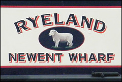 Ryeland - Newent Wharf