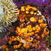 "In an Octopus's Garden Near a Cave" – Monterey Bay Aquarium, Monterey, California