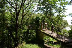 Venezuela, Puerto Ordaz, Small Bridge in the Park of La Llovizna