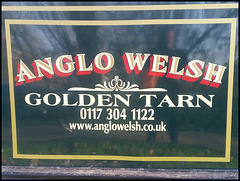 Anglo Welsh Golden Tarn