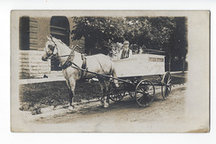 WP2174 WPG - [CITY DAIRY HORSE-DRAWN DELIVERY WAGON]