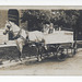 WP2174 WPG - [CITY DAIRY HORSE-DRAWN DELIVERY WAGON]