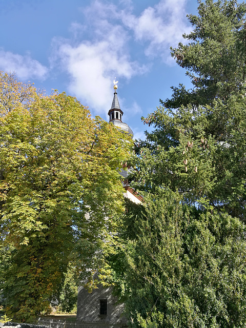 Blick durchs Blätterdach auf die Kirche in Großneundorf