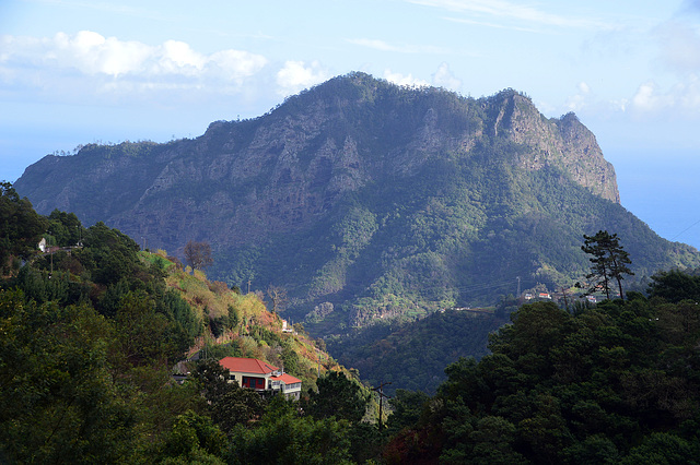 Madeira die grüne Vulkaninsel im Atlantik