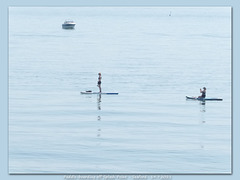 Paddle-boarding is so exhilarating - Seaford - 19 7 2021