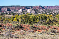 New Mexico landscape43