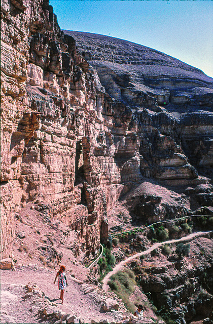 Abstieg ins Wadi Qelt / Down into Wadi Qelt (3 x PIP)