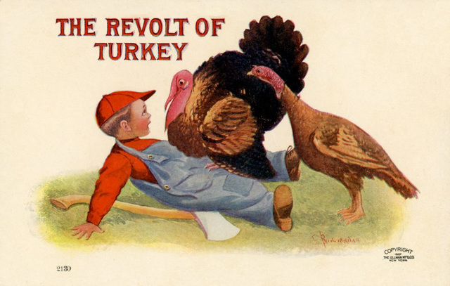 The Revolt of Turkey