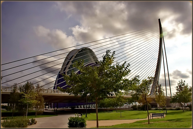 Valencia : gli stralli che sostengono le ardite strutture di Santiago Calatrava :   Pont L'Assut de l' Or -