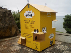 House of the cats.