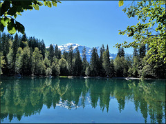 Plateau d'Assy (74) Le Lac Vert.