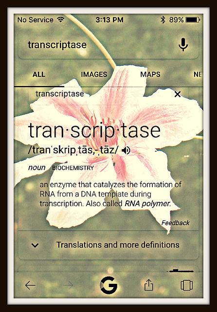 Transcriptase
