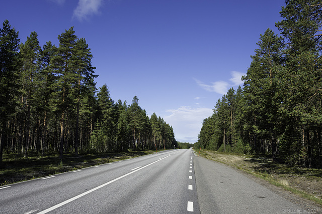 unterwegs auf der Strasse No. 374 in Norrbottens län - der nördlichsten Provinz von Schweden (© Buelipix)