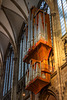 Schwalbennest-Orgel