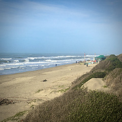 Capocotta Beach in January.
