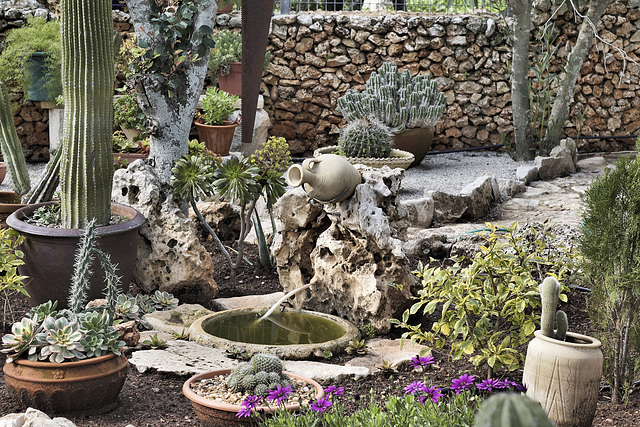 Cactus Garden – El-Muraqa Monastery, Daliyat al-Karmel, Israel