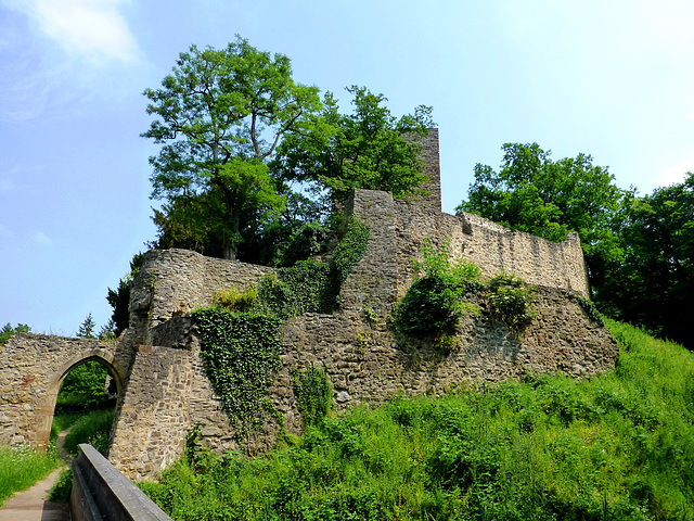 DE - Euskirchen - Hardtburg castle
