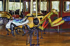 Honey Bee – Bug Carousel, Bronx Zoo, New York City, New York