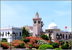 Tunisi : la parte più alta della città dove si trovano i palazzi governativi