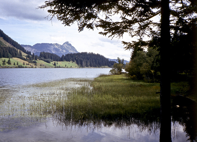 Landschaft am See