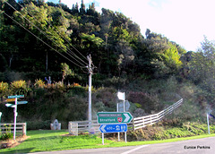 Whangamomona Signposts.