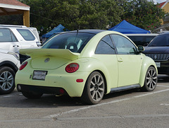 Bonaire Beetle - 2 April 2024