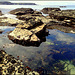 Rockpool, clear water