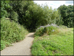 path at Grandpont