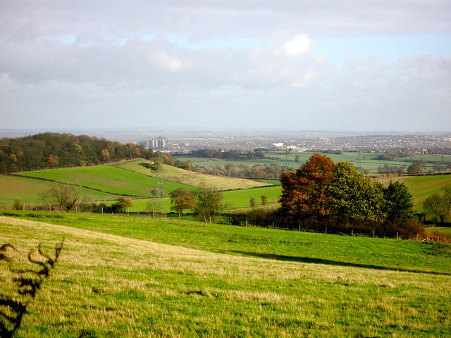 Looking towards Tamworth from Weeford Park