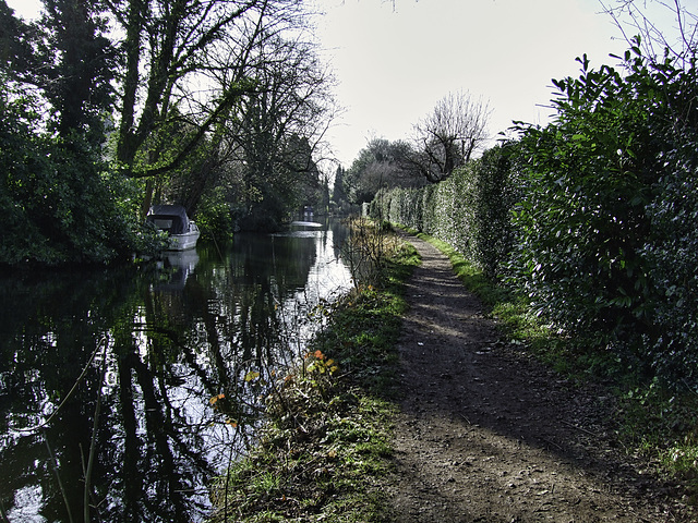 Walking the towpath