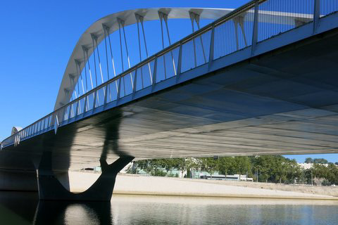 Le Pont Schuman sur la Saône (Lyon)