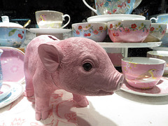 Piggy in china shop