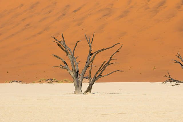 Namibia-0559
