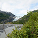 Alaska, The Upper Reaches of the Resurrection River and the Exit Glacier