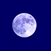 lune bleue / blue moon