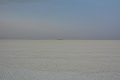 Ethiopia, Danakil Depression, Dehydrated (dried) Surface of the Salt Lake Karum