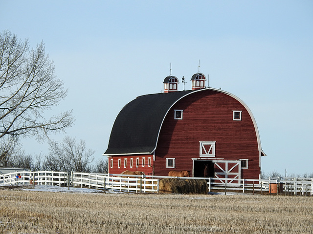 Beautiful barn, rural Alberta