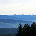 Panorama Scheidegg