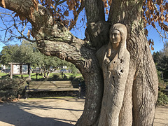 Mother and Child Tree