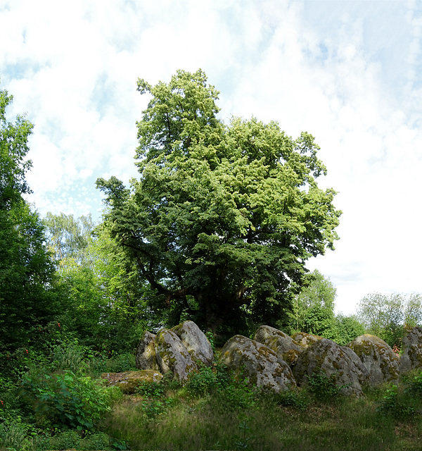 Naturdenkmal "Heller Stein" (PiP)