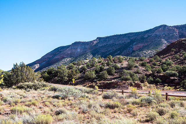 New Mexico landscape76