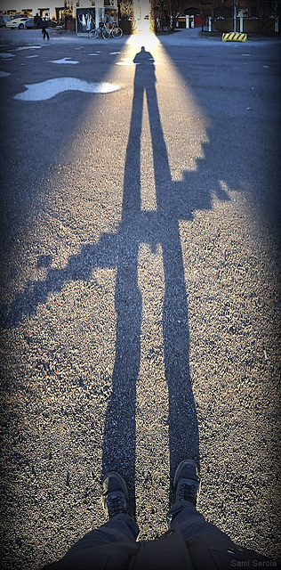My long shadow...