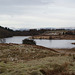 Mossdale Loch In Winter
