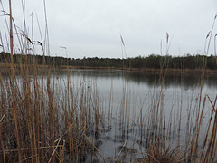 Naturschutzgebiet Schulzensee