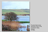 Flooded fields in the Cuckmere Valley - Sussex - 15.1.2015
