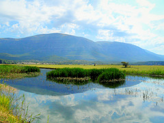 Dinara mountain reflected in Cetina river