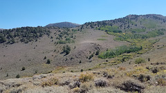 Upper reaches of Stewart Creek