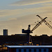 Cranes on The Tyne