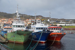 Fischereiflotte