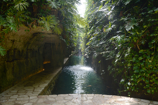 Mexico, Western Access to the Cenotes of Hacienda Mucuyche
